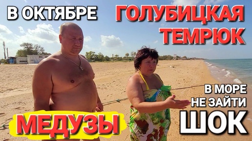 Download Video: Приехали из Темрюка. #Голубицкая. Это ужас, в море медузы! Холодно, купаться нельзя и это в октябре!?