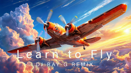 Foo Fighters - Learn To Fly (Dj ray-g remix)