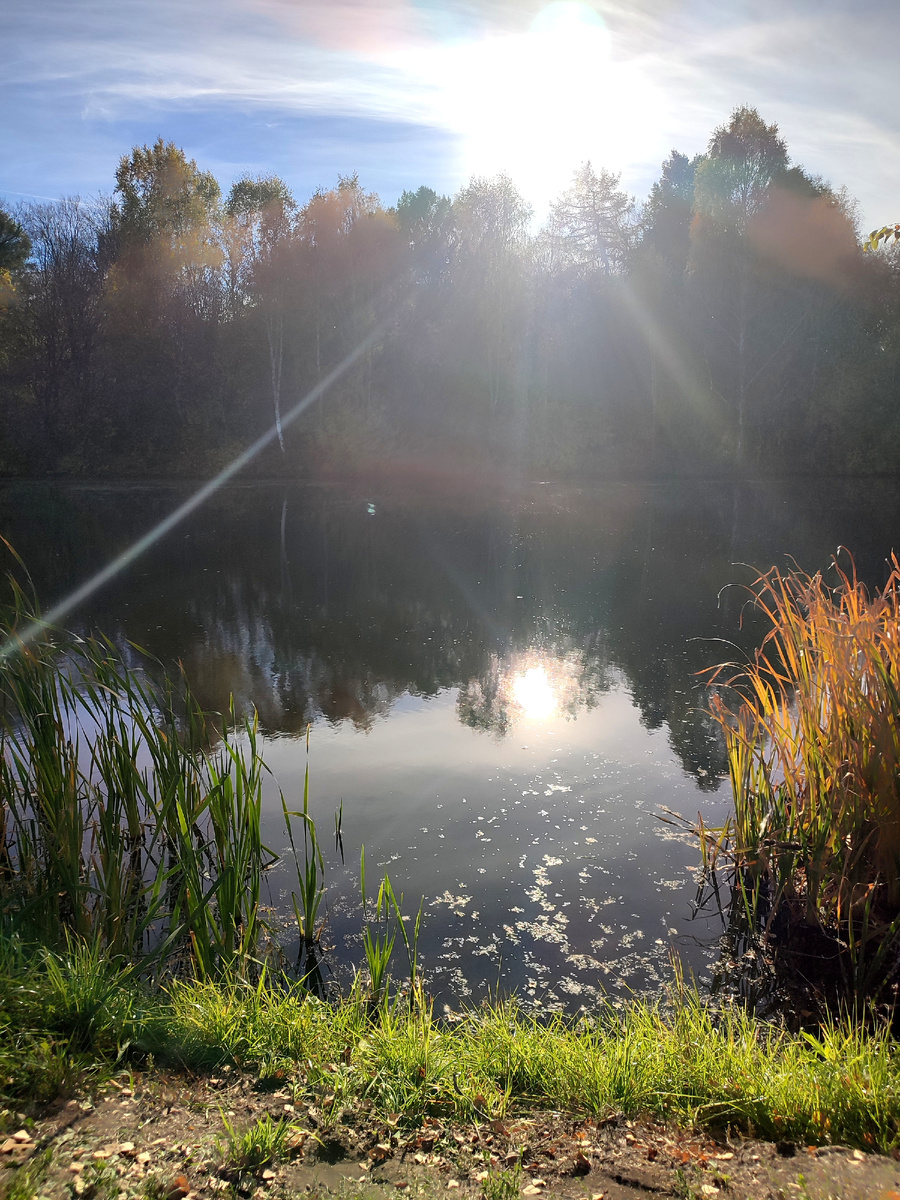 *Этим искусством уверенно владела только она, только природа, равнодушная к нашим восторгам и похвалам