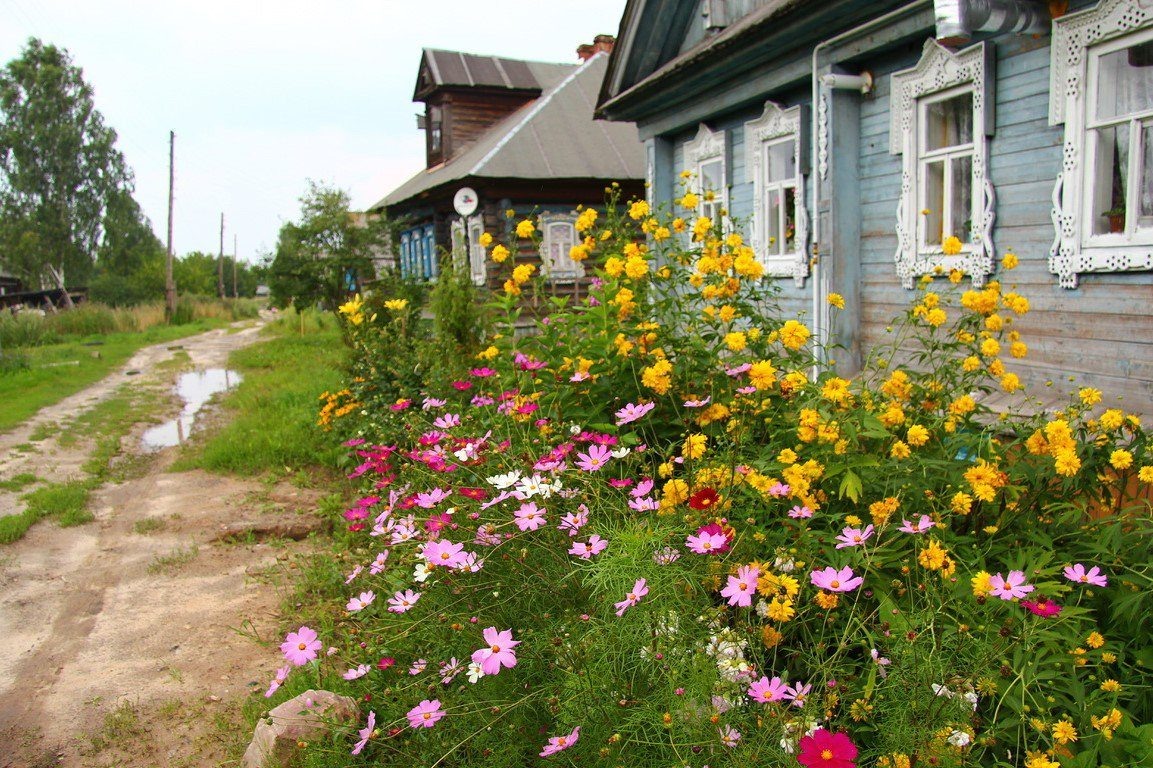 Яндекс-картинки