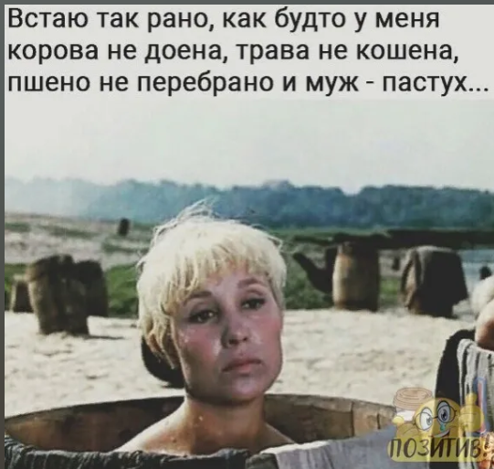 Источник Яндекс Картинки