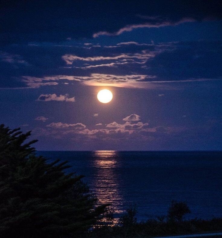 Яндекс Открытый источник 