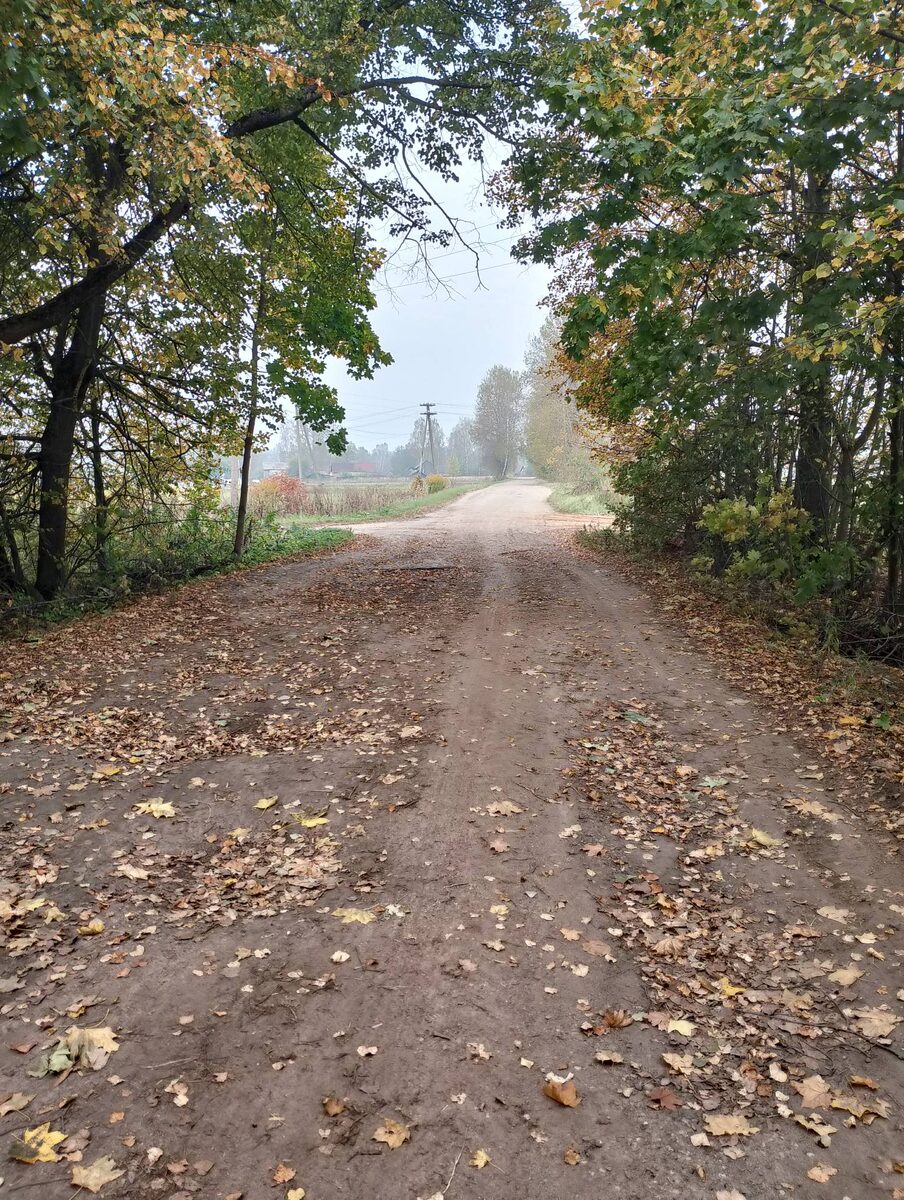 Ах, осень ... Как красиво! И как несовершенно, неупорядоченно, листья кругом разбросаны. А цвета какие неправильные!.. И дымок с торфяников натянуло.