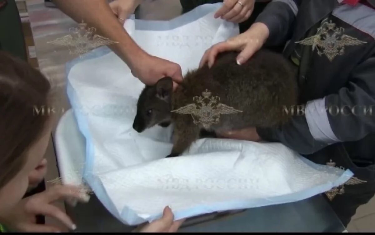    Кадр видео.