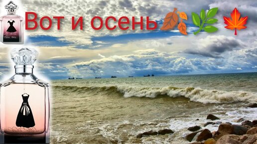 ✌Осень, море и маленькое чёрное платье✌