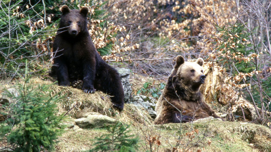    Фото: Konstantin Mikhailov/Russian Look/Globallookpress