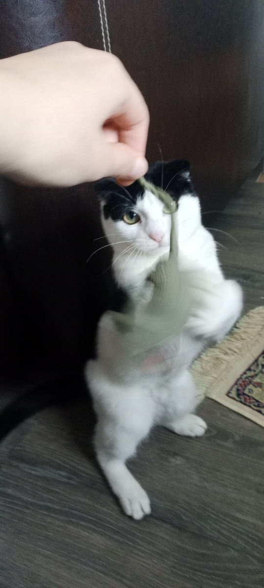 Слишком динамично!