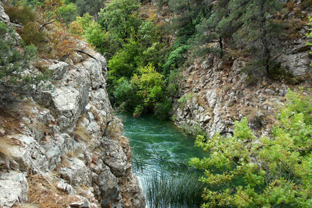     Почему стоит поехать в Крым: раскрываем подробности