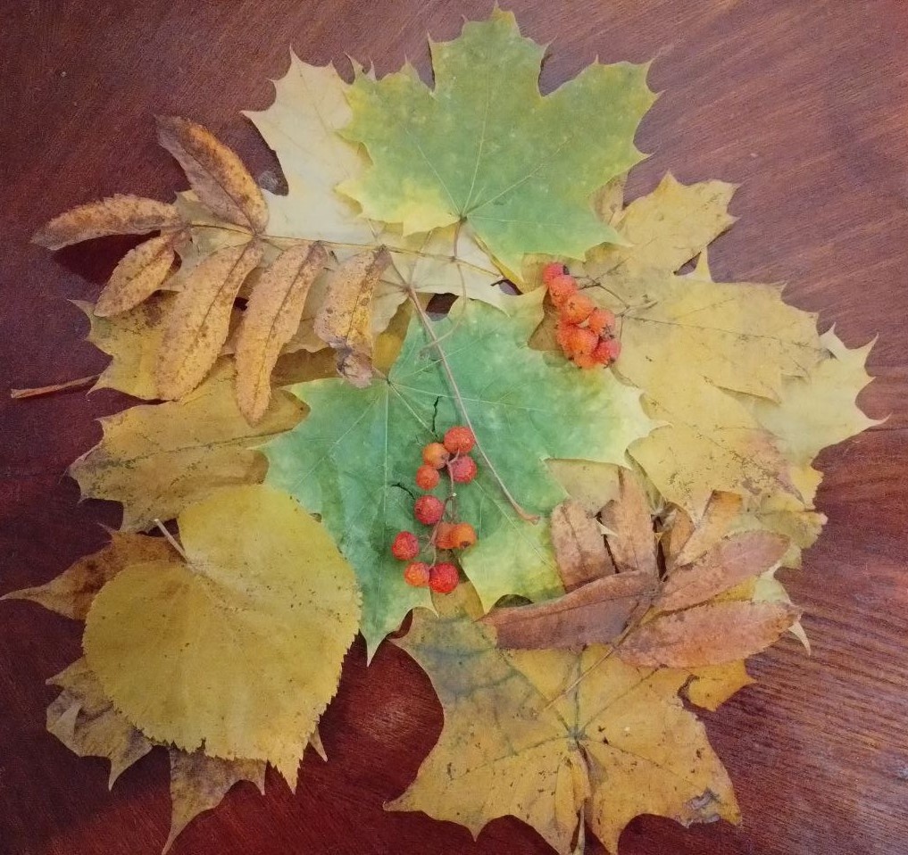 Ворох палой листвы