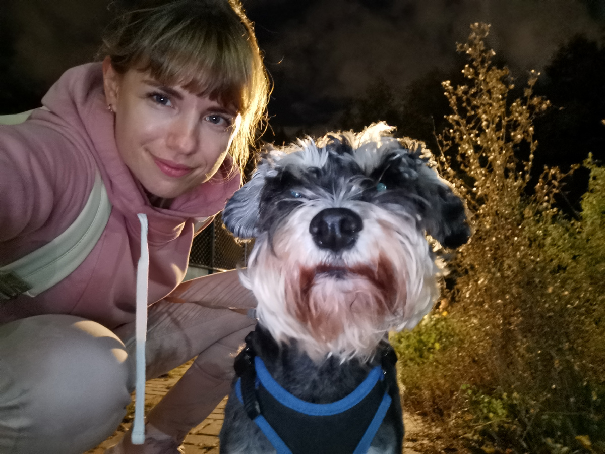 Около ветклиники