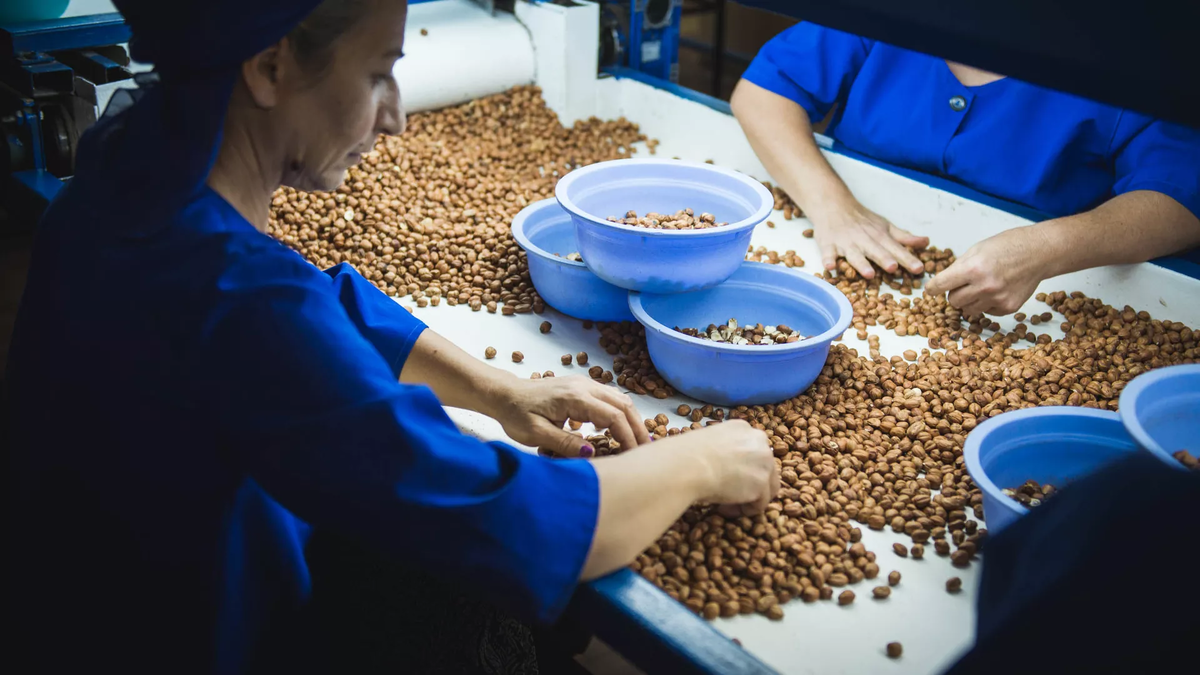 © photo: Sputnik / Stringer 