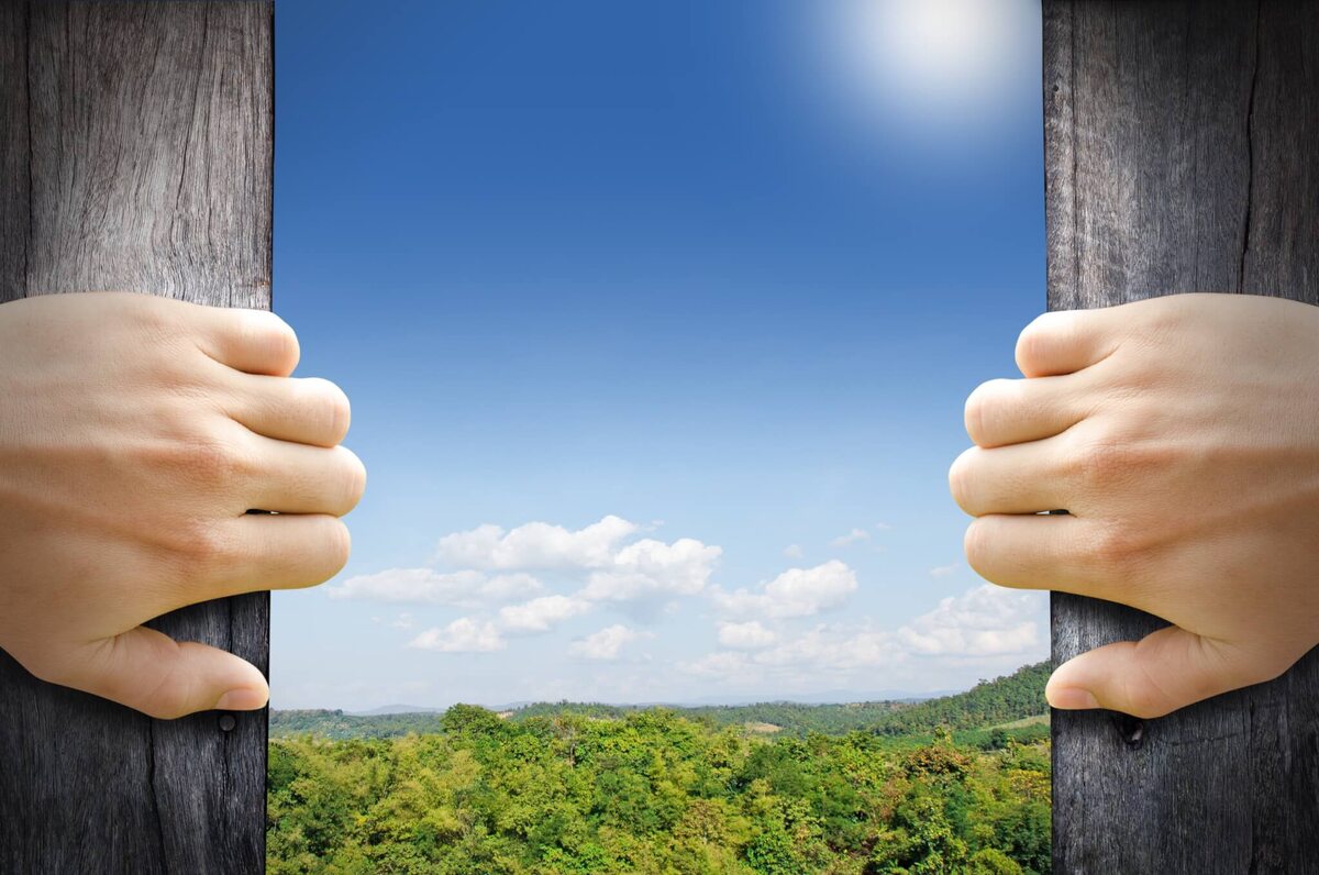 Открытый источник