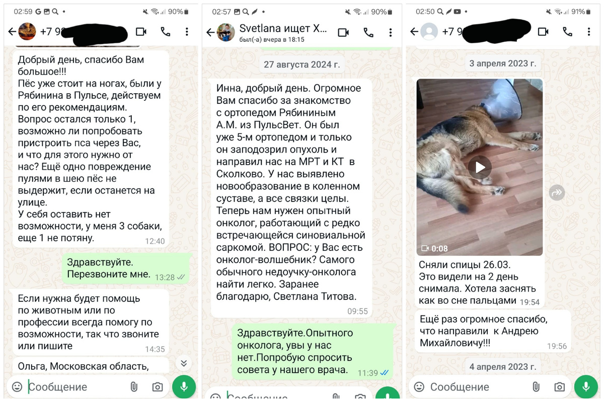 И это не единичные сообщения 