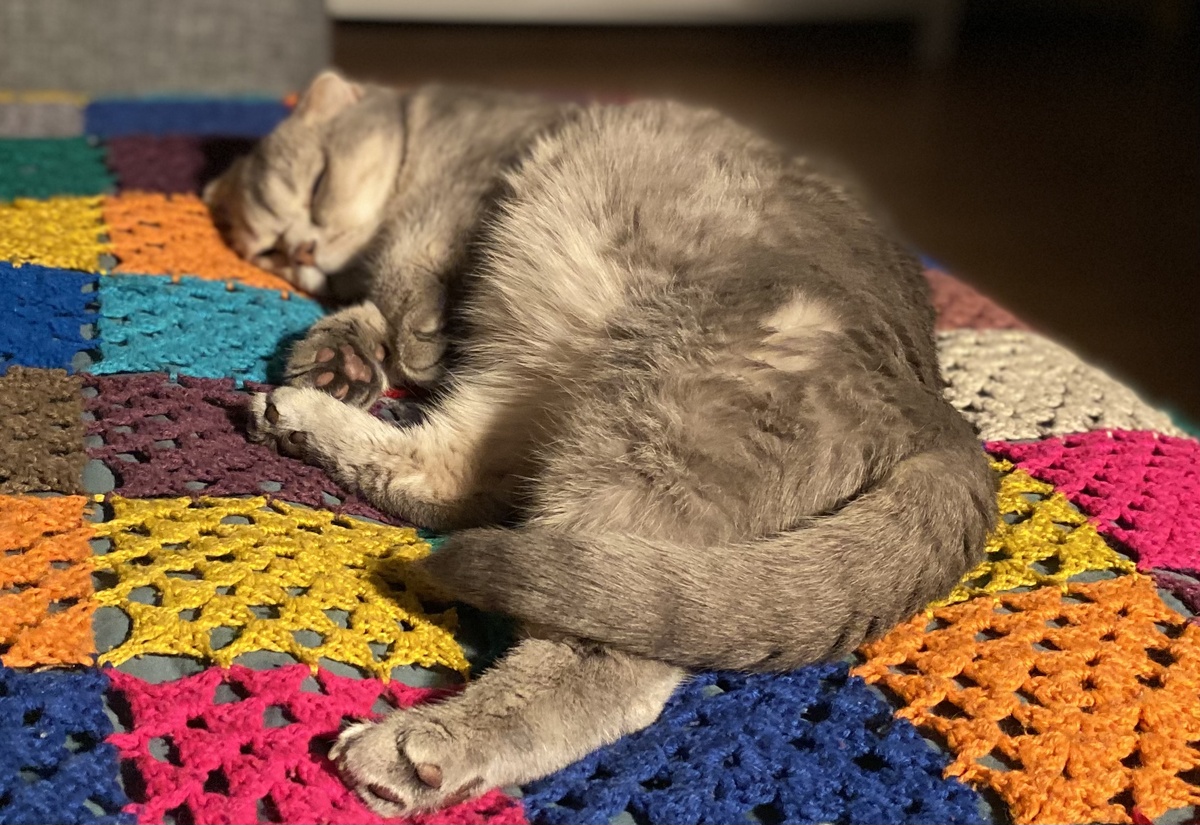 Фото автора 