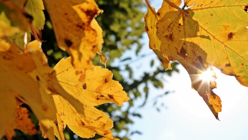 Фото: @EyeEm / freepik.com
