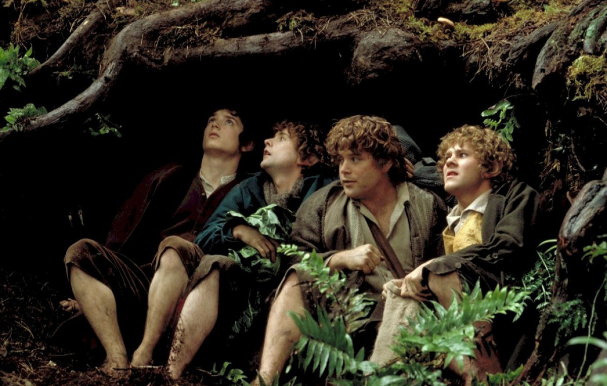 Кадр из фильма "Властелин колец: Братство кольца"