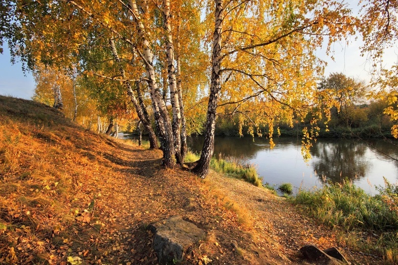 Фото из открытых источников
