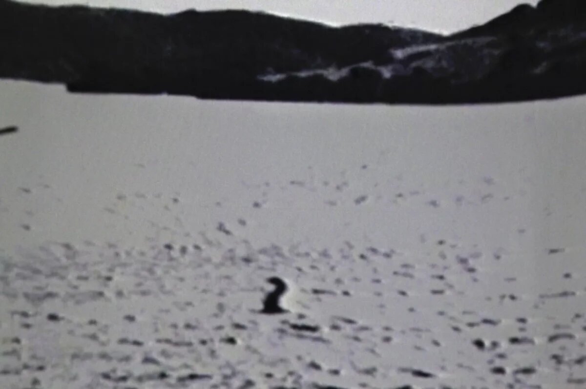    Гидролокатор обнаружил неопознанный объект в шотландском озере Лох-Несс