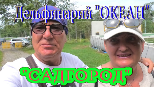 Обзор дельфинария «Океан» в Садгороде, Владивосток.