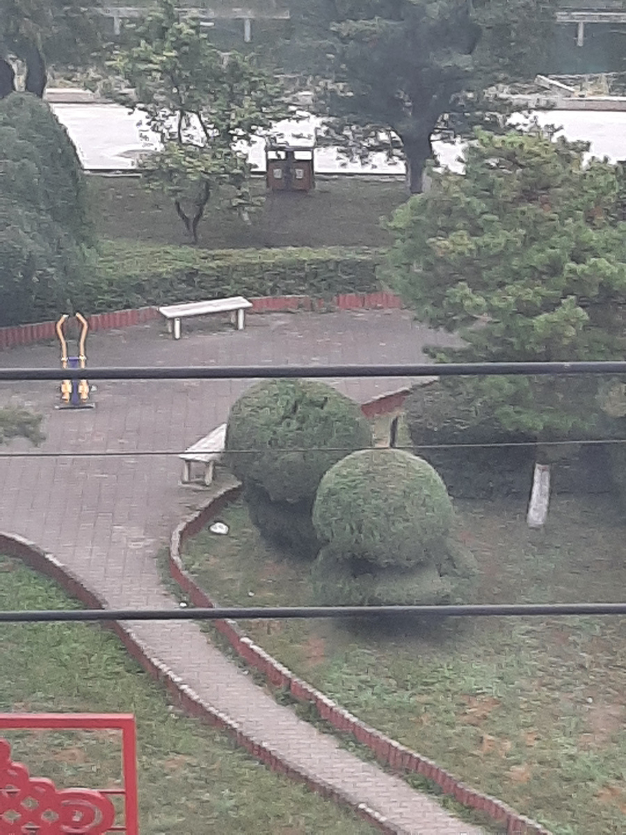 вид из окна