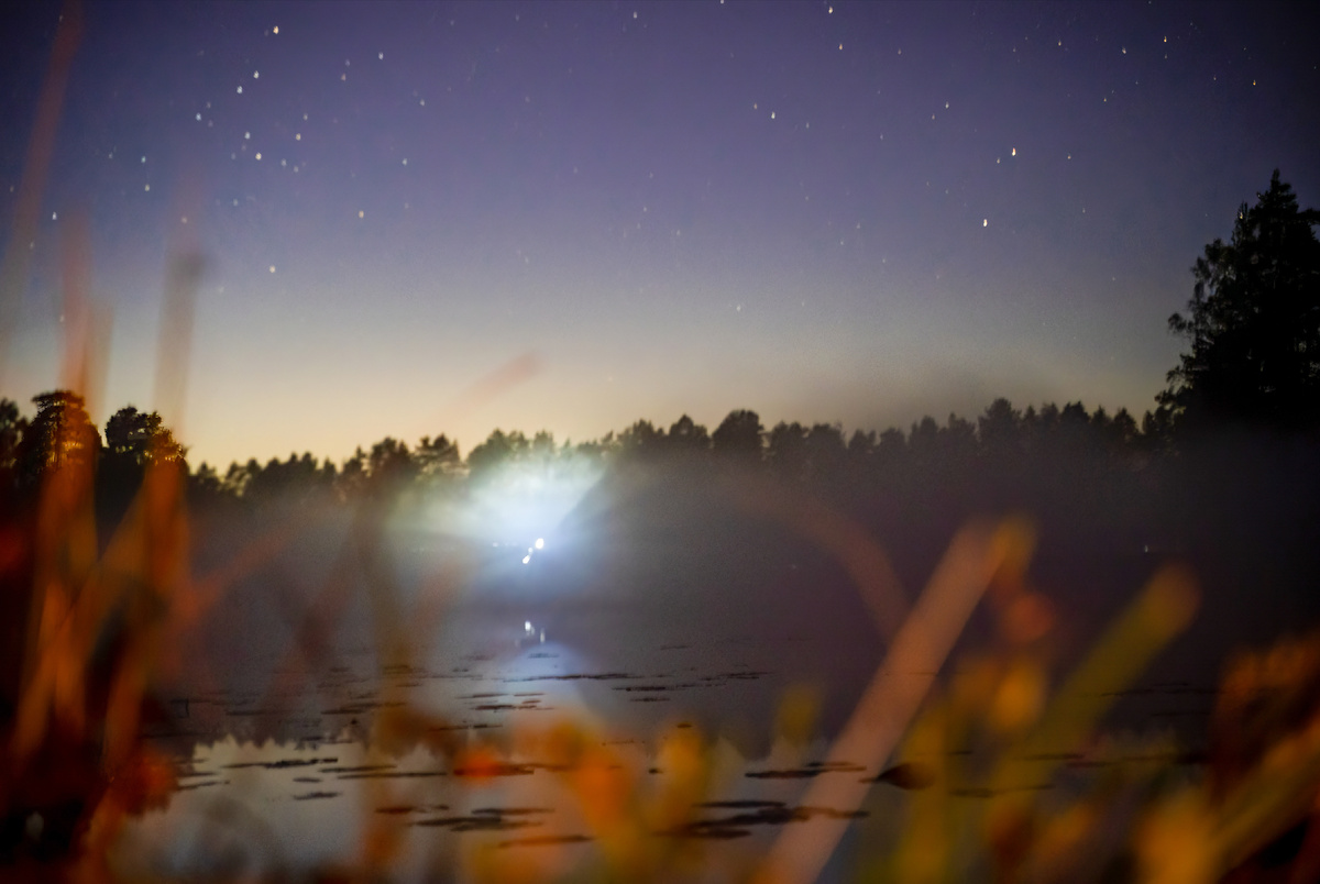 Фото организатора. 