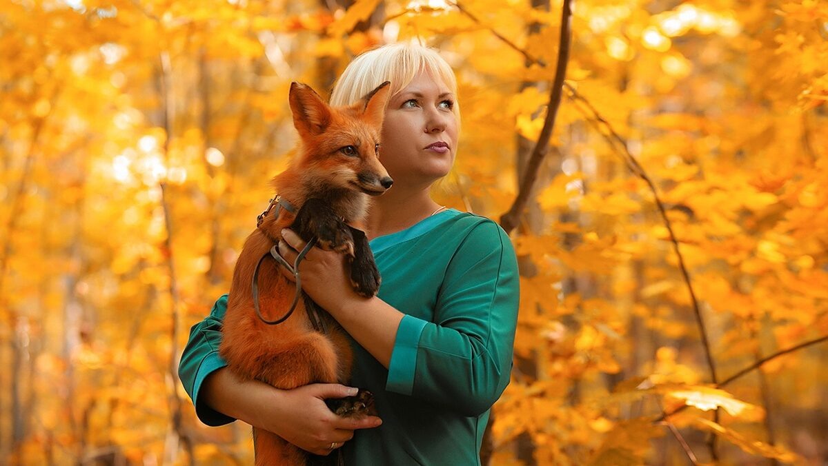 Погода в лисья на 10 дня