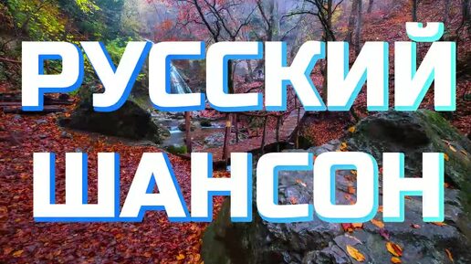 ▶️245. 💎СЛУШАТЬ 🌳РУССКИЙ ШАНСОН 2024 | РУССКИЙ ШАНСОН 2024 | ШАНСОН 2024