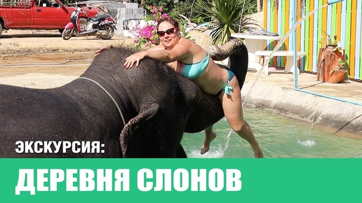 Экскурсия на Пхукете. Деревня слонов | Elephant Camp