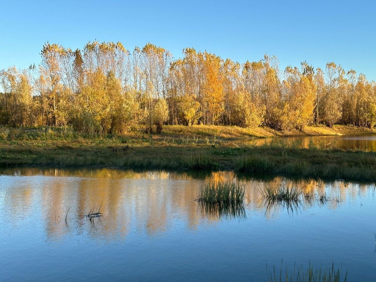 Фото автора.Для настроения! 