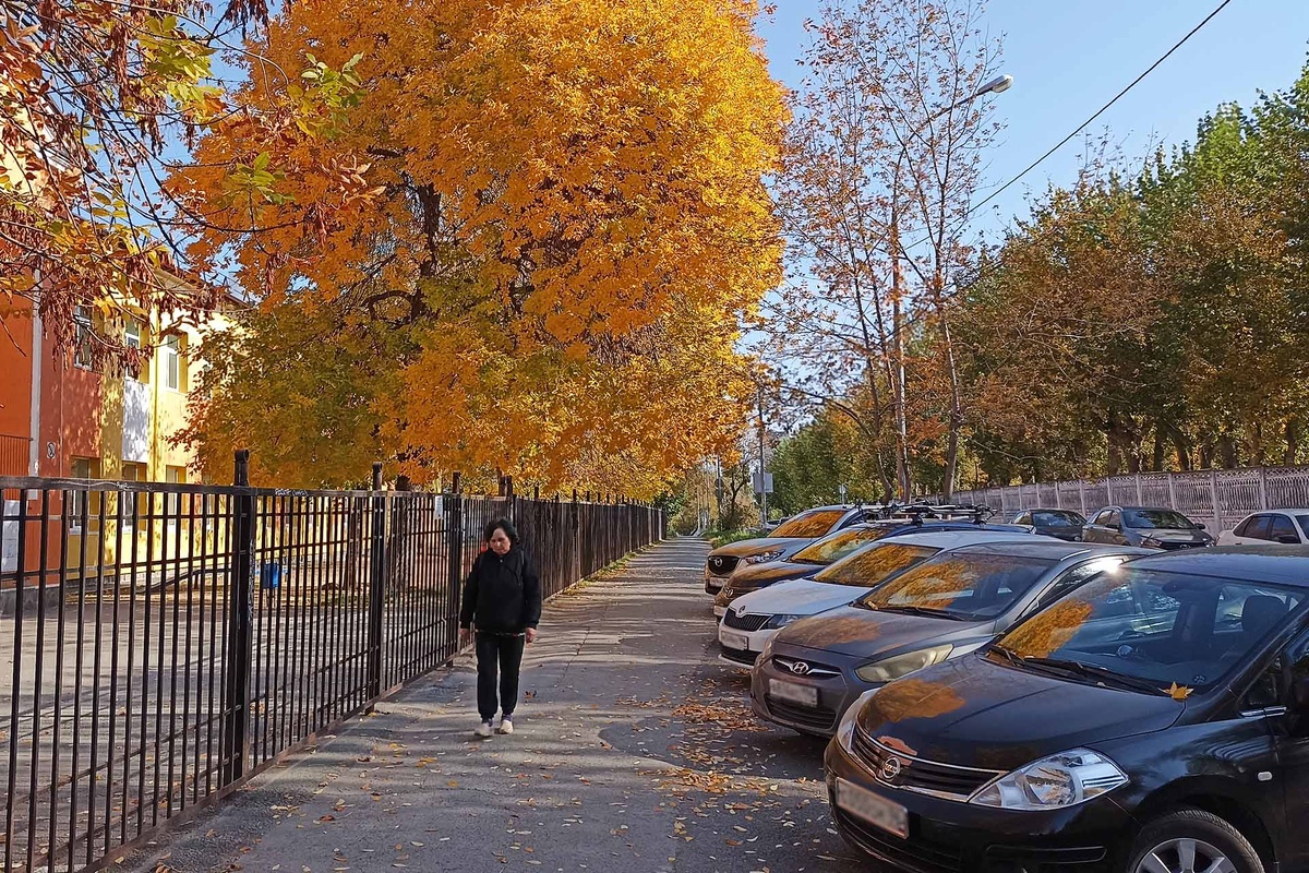 Погода порадует уральцев в выходные: тепло и без дождей.  Фото: ФедералПресс / Максим Филиппович