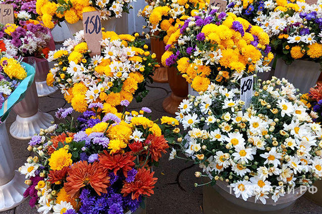 Фото Виолетты ГАВРИЛЕНКО. 