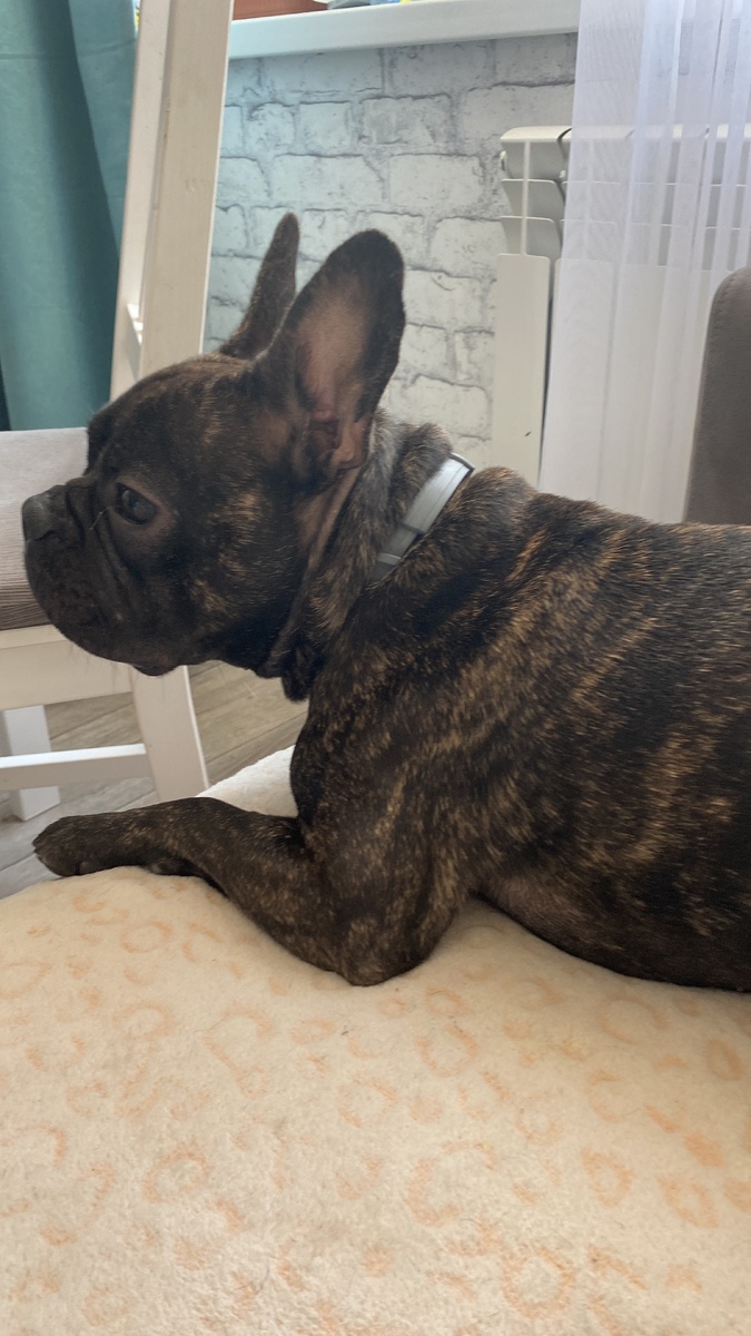 Ни о чем не жалею.