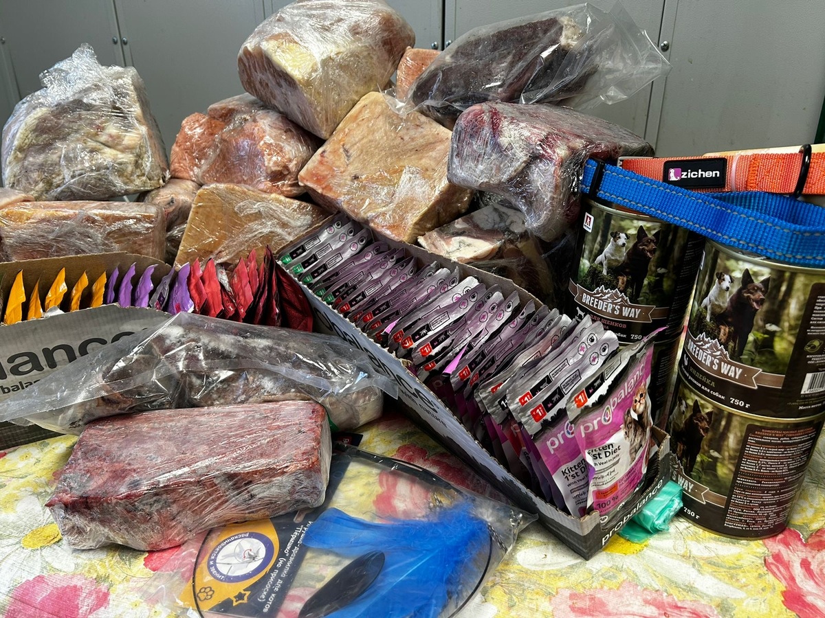 Подарки от школы №18 г. Абакана.