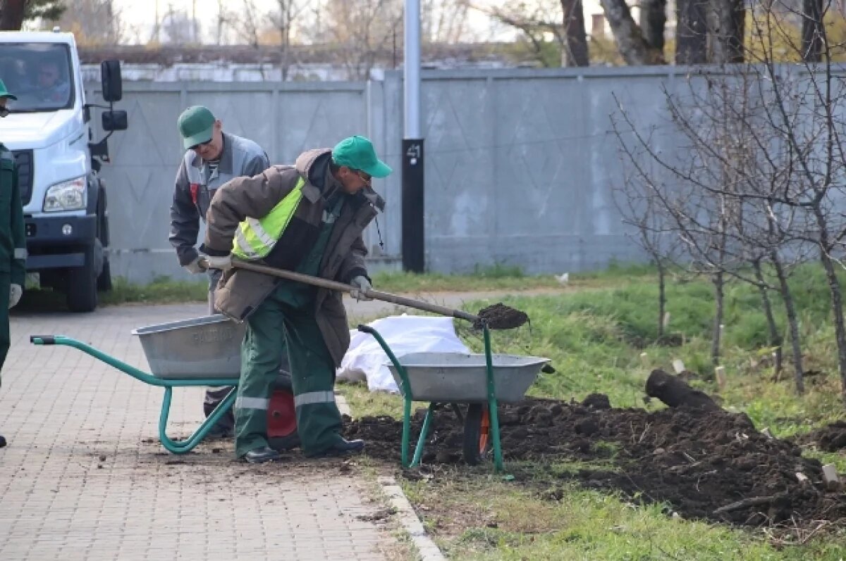    Хабаровск превращается в зеленый оазис осенью