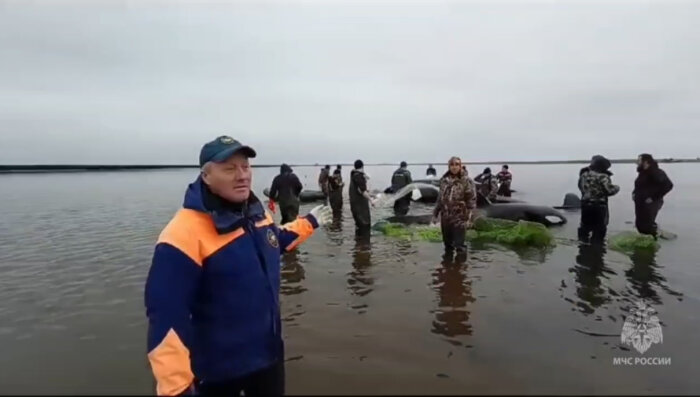 Фото: ГУ МЧС по Камчатскому краю