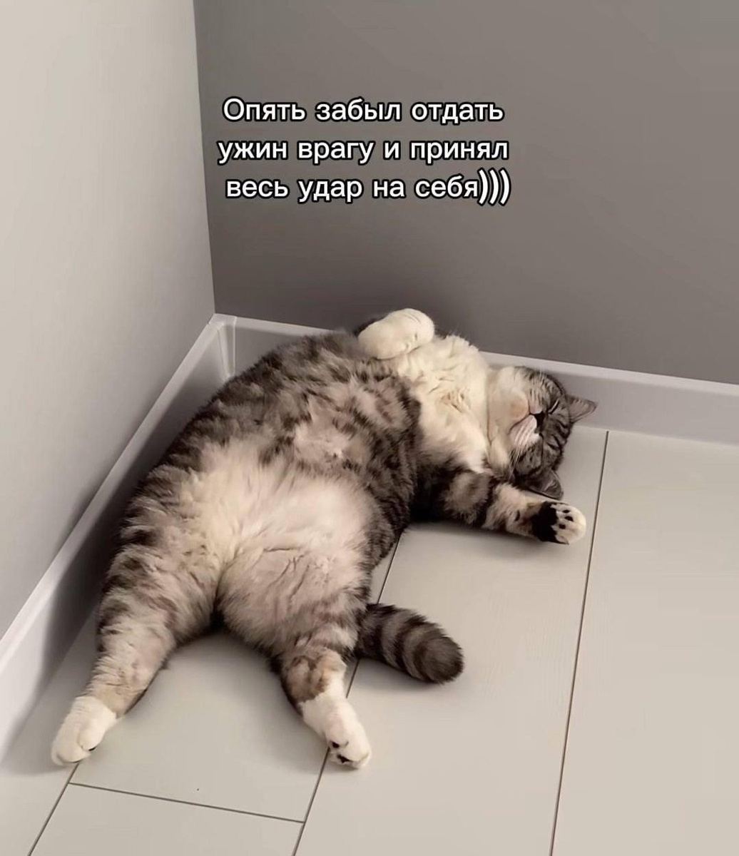 Фото из интернета