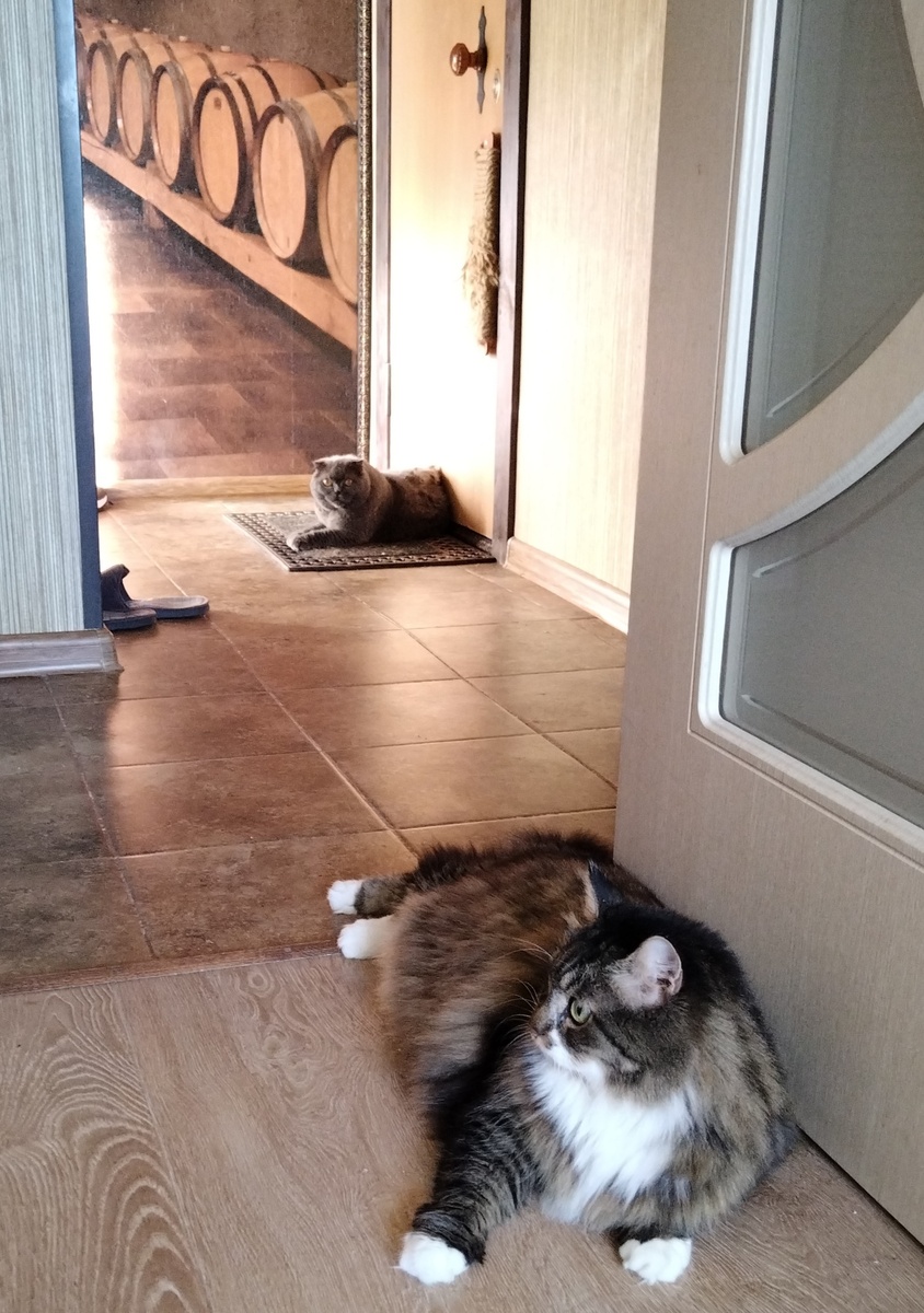 -Да почему тут-то!?