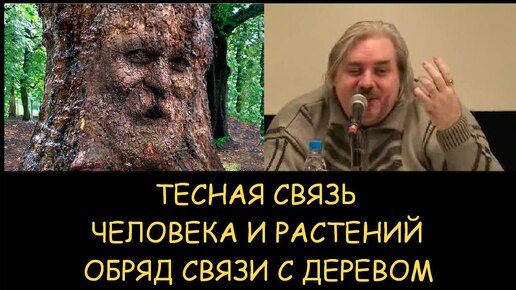 ✅ Н.Левашов. Тесная связь человека и растений. Обряд связи с деревом