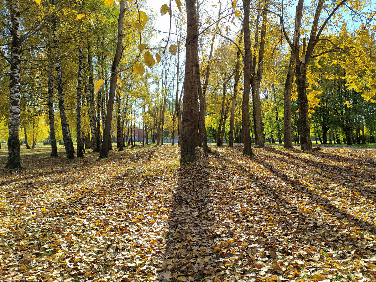 Victor Lisitsyn, Виктор Лисицын/Global Look Press 