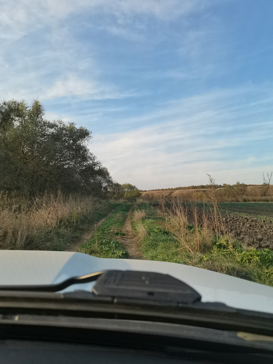 Едем полями