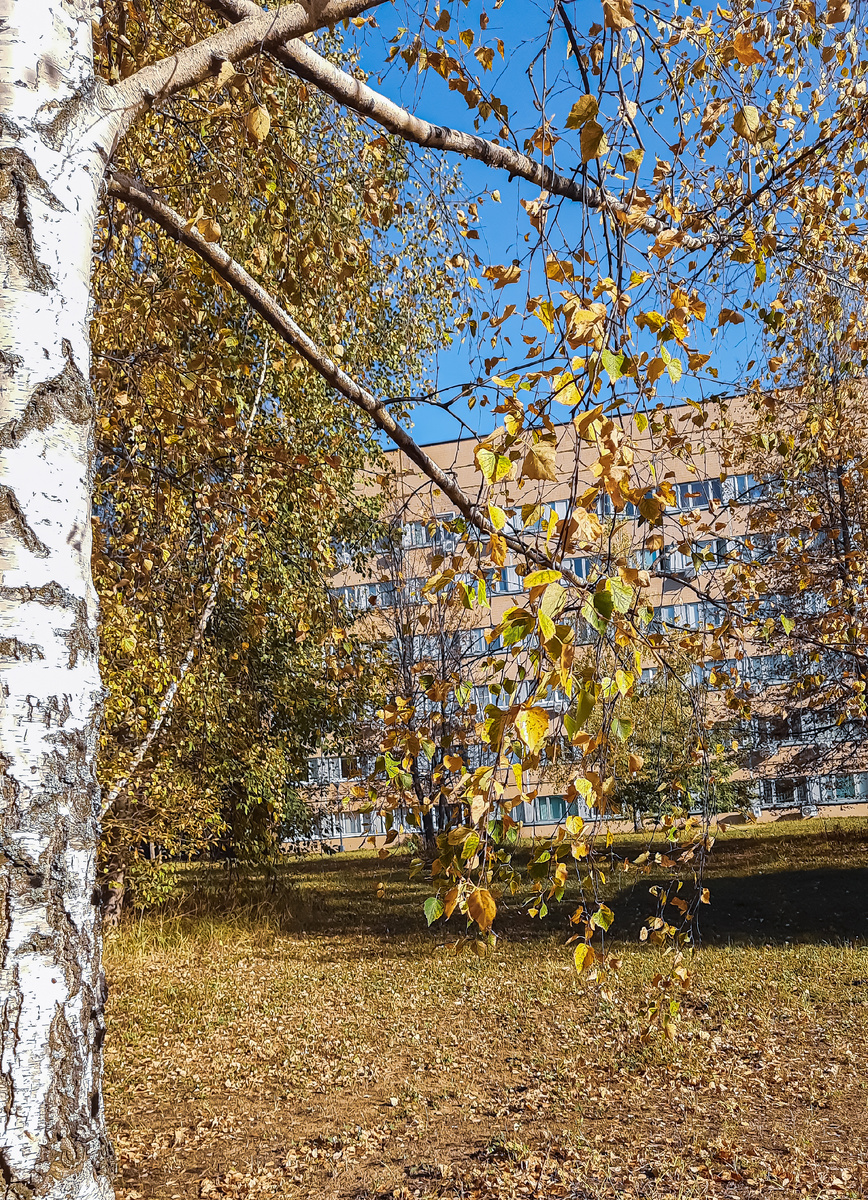 Хочу поймать осень за "хвост"