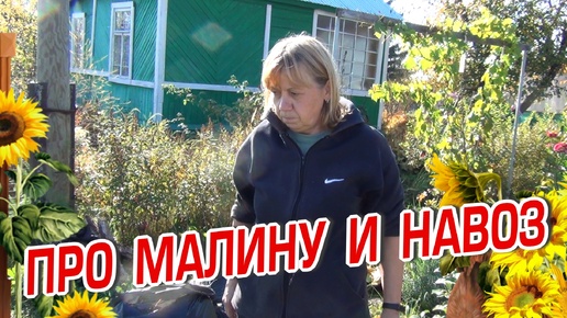 ПРО МАЛИНУ И НАВОЗ