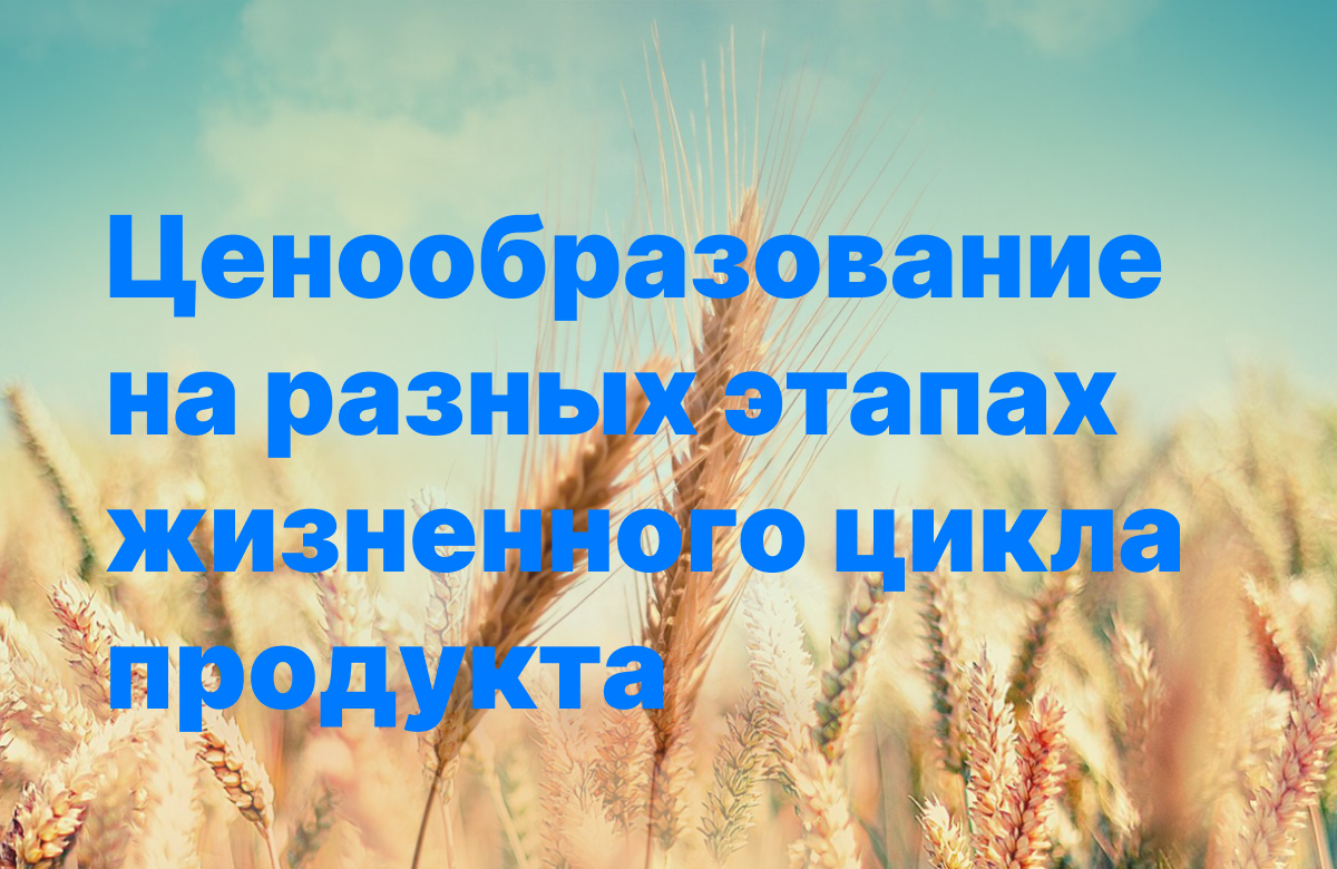 Ценообразование на разных этапах жизненного цикла продукта