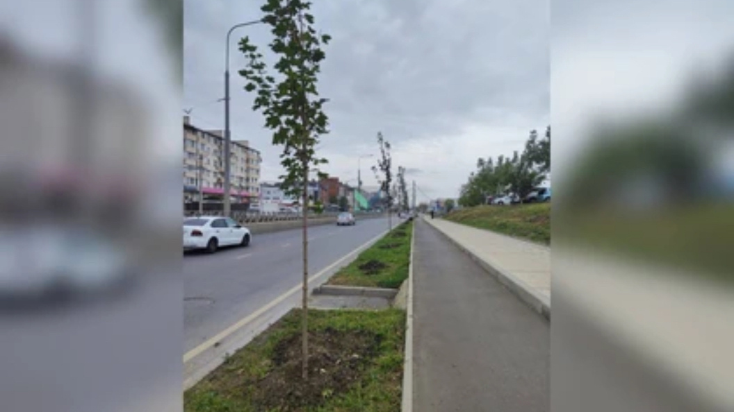    Фото: МЦУ Краснодара
