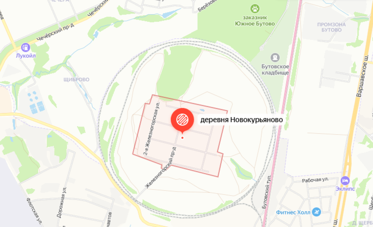 Без цивилизации в 40 минутах езды от центра Москвы. Как живут в деревне, отрезанной железной дорогой?