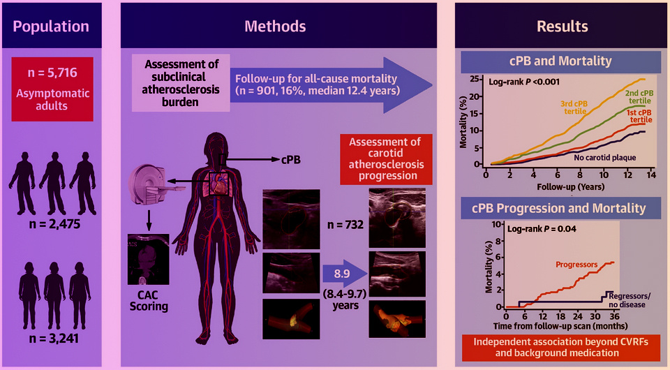   N + 1; Valentin Fuster et al. / JACC, 2024