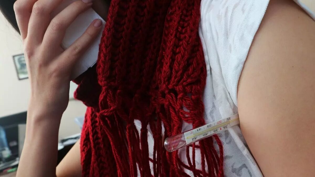     Источник: 1MI