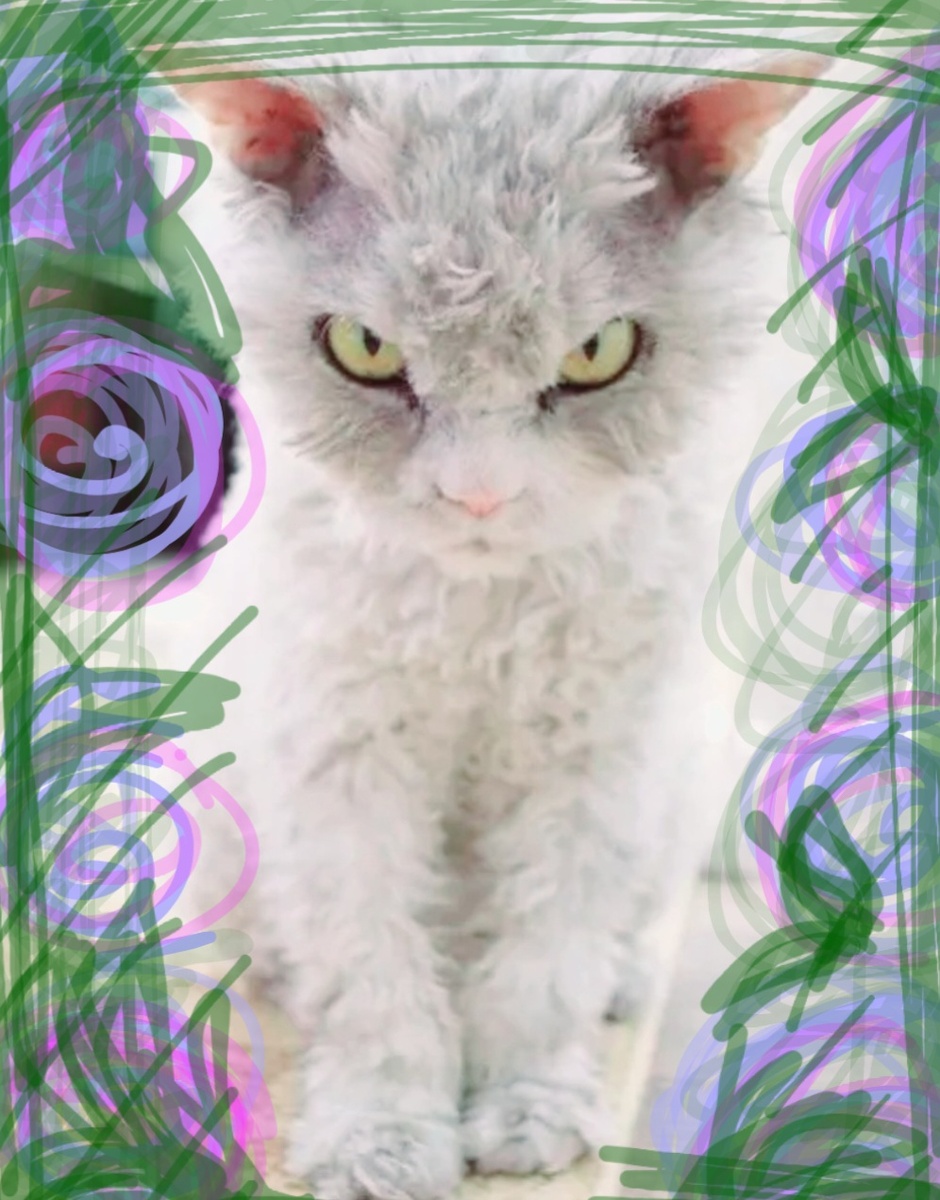 Фотоколлаж для иллюстрации статьи.