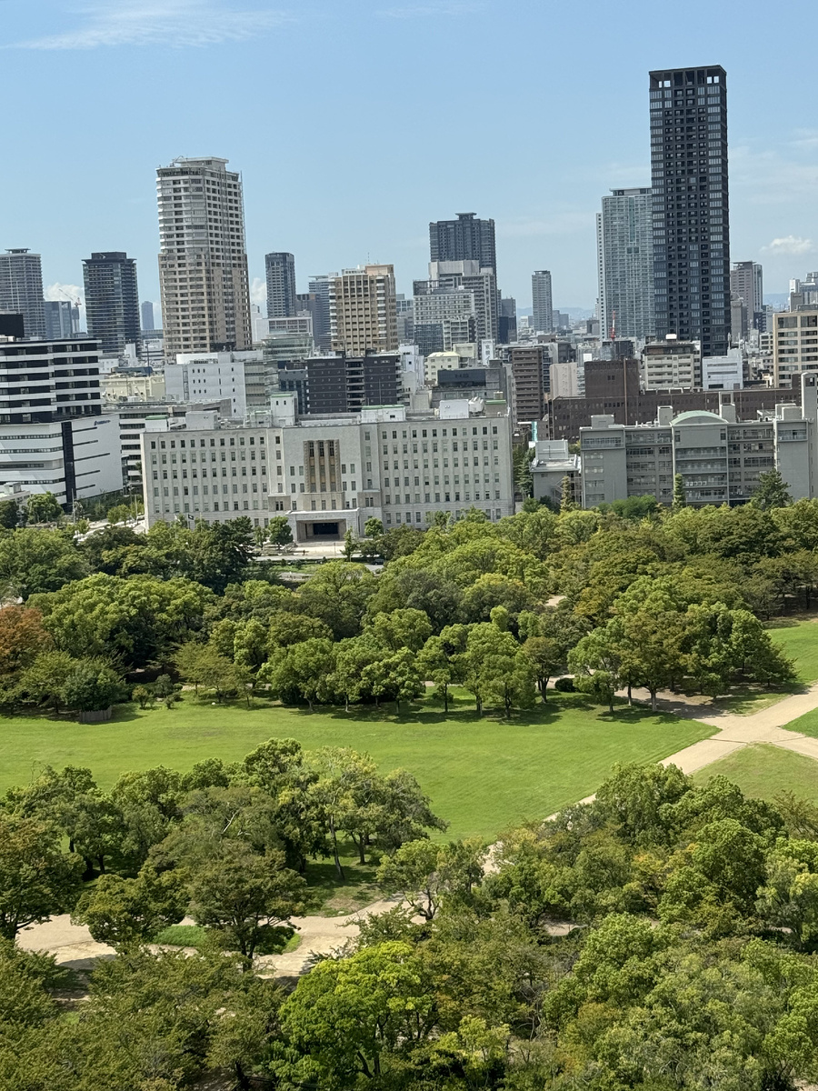 Вид на парк со смотровой площадки самого высокого здания в Осаке