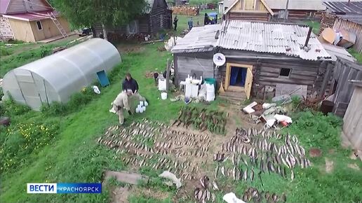 В краевой полиции подводят первые итоги операции 